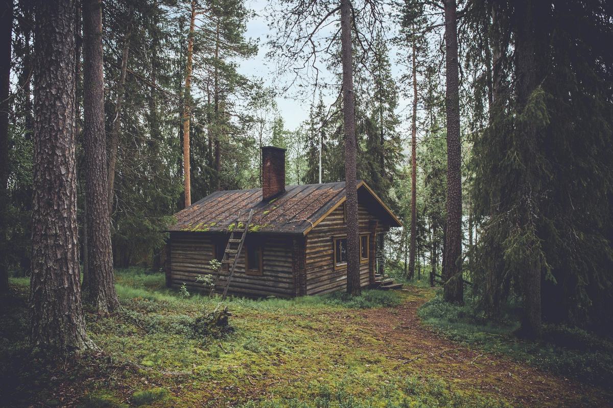A cabin set back under the trees