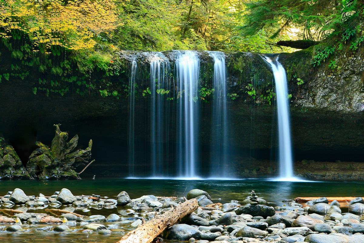 The creek running through the hollow